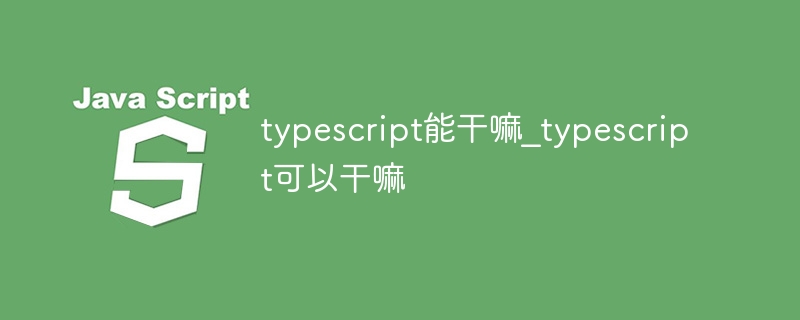 typescript能干嘛_typescript可以干嘛