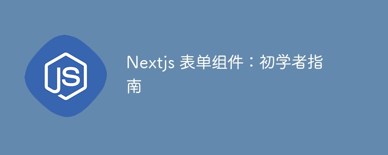 Nextjs 表单组件：初学者指南