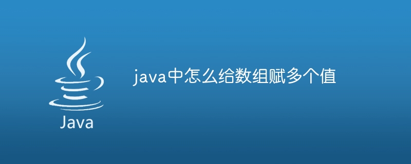 java中怎么给数组赋多个值