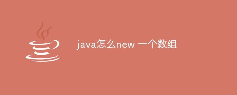 java怎么new 一个数组