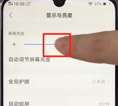 vivoz3调节屏幕亮度的操作方法截图