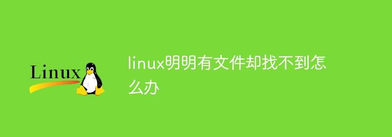 linux明明有文件却找不到怎么办