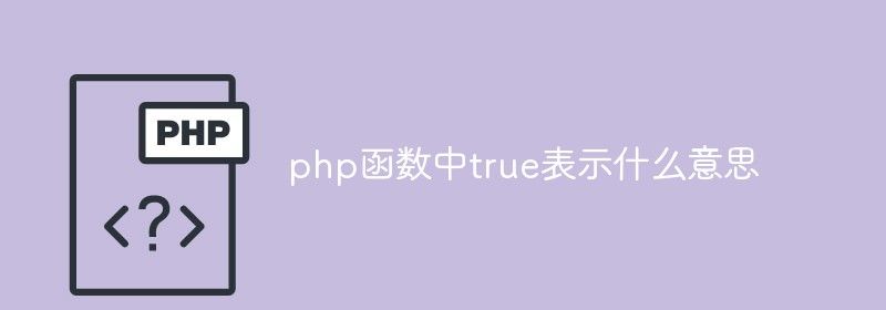 php函数中true表示什么意思