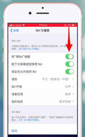 苹果手机开启siri功能的操作流程截图