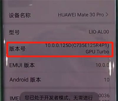 华为mate30pro中开启开发人员选项的操作教程截图