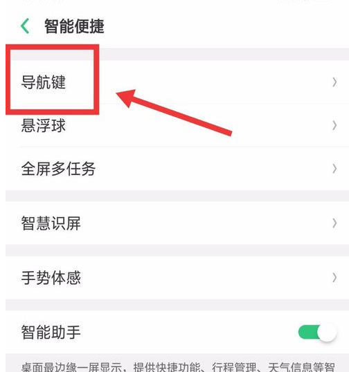 OPPO R15设置导航手势的简单操作截图