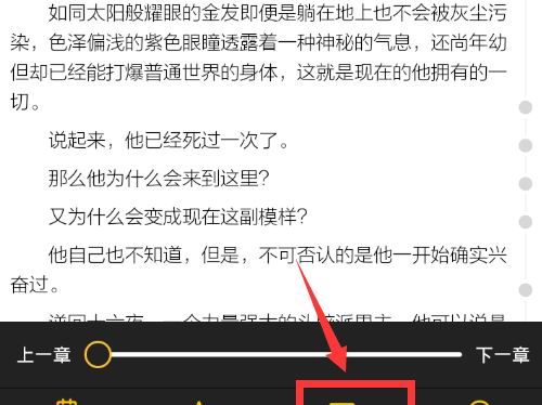 在刺猬猫阅读中打开弹幕的图文介绍截图