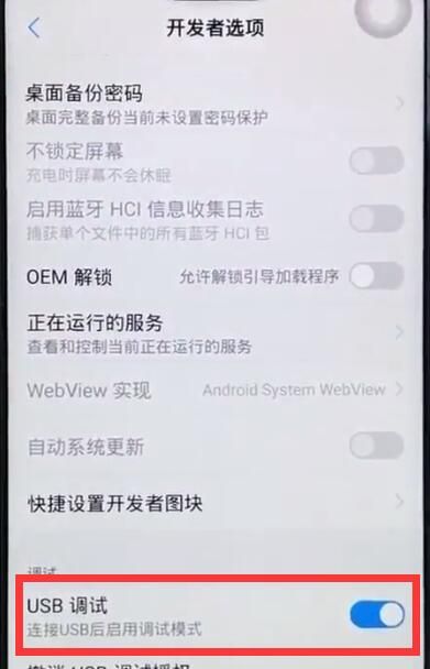 vivoz1开启usb调试的操作流程截图