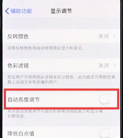 iphonexr中关闭自动亮度调节的简单操作截图