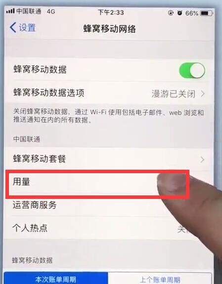 苹果7plus中查看移动流量的详细步骤截图