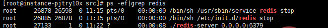 查看 redis 进程号