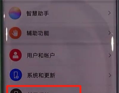 华为mate30pro中开启开发人员选项的操作教程截图