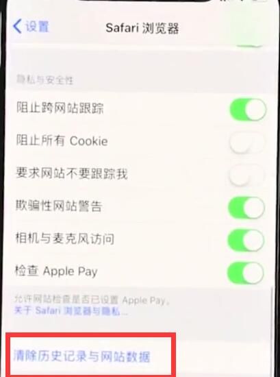 iphonexr清除Safari历史记录的操作流程截图