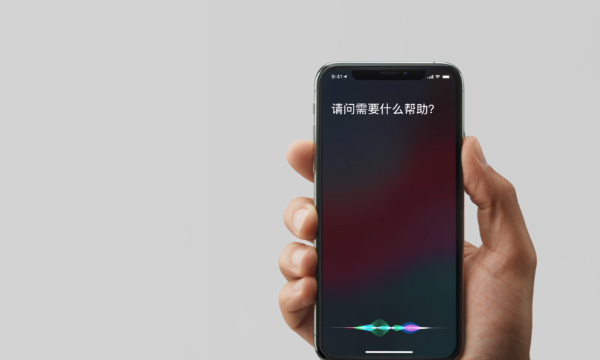 iPhonexs唤醒siri的操作流程截图