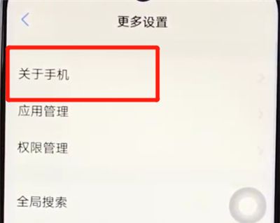 vivoz3辨别真假的简单操作步骤截图