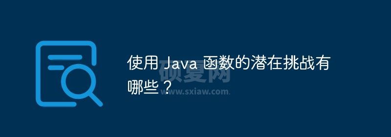 使用 Java 函数的潜在挑战有哪些？