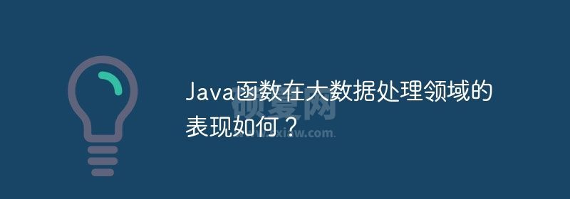 Java函数在大数据处理领域的表现如何？