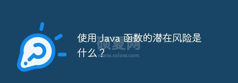 使用 Java 函数的潜在风险是什么？