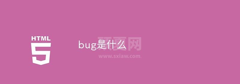 bug是什么