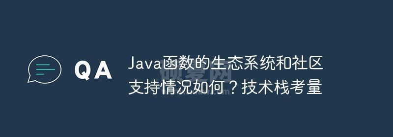 Java函数的生态系统和社区支持情况如何？技术栈考量