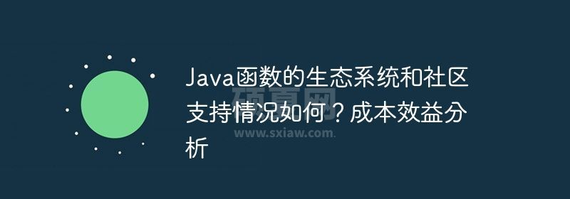 Java函数的生态系统和社区支持情况如何？成本效益分析