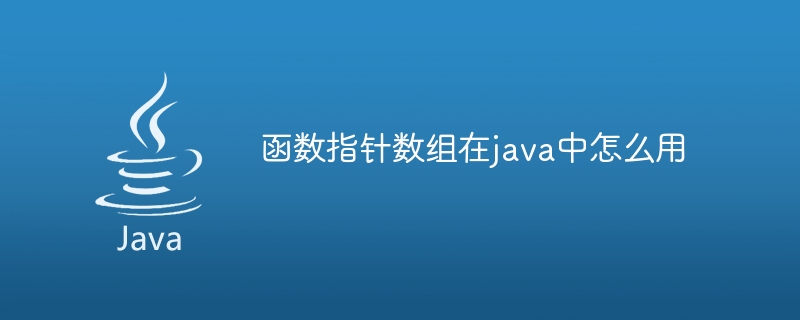 函数指针数组在java中怎么用