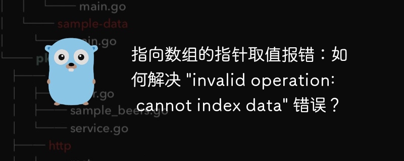 指向数组的指针取值报错：如何解决 &quot;invalid operation: cannot index data&quot; 错误？