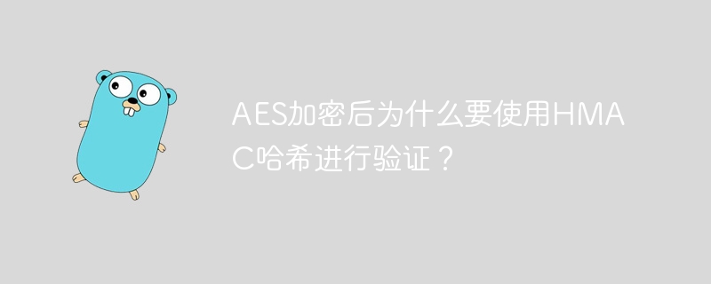 AES加密后为什么要使用HMAC哈希进行验证？