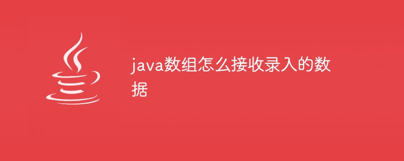 java数组怎么接收录入的数据