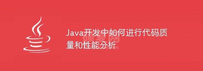 Java开发中如何进行代码质量和性能分析