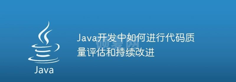 Java开发中如何进行代码质量评估和持续改进